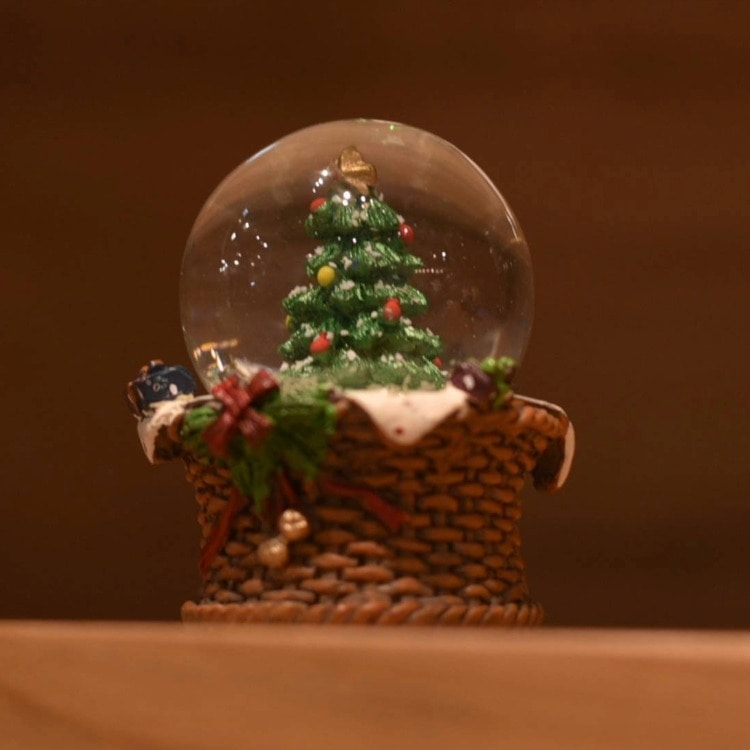 �Q�T�@�o�X�P�b�g�c���[�R�T�l�l