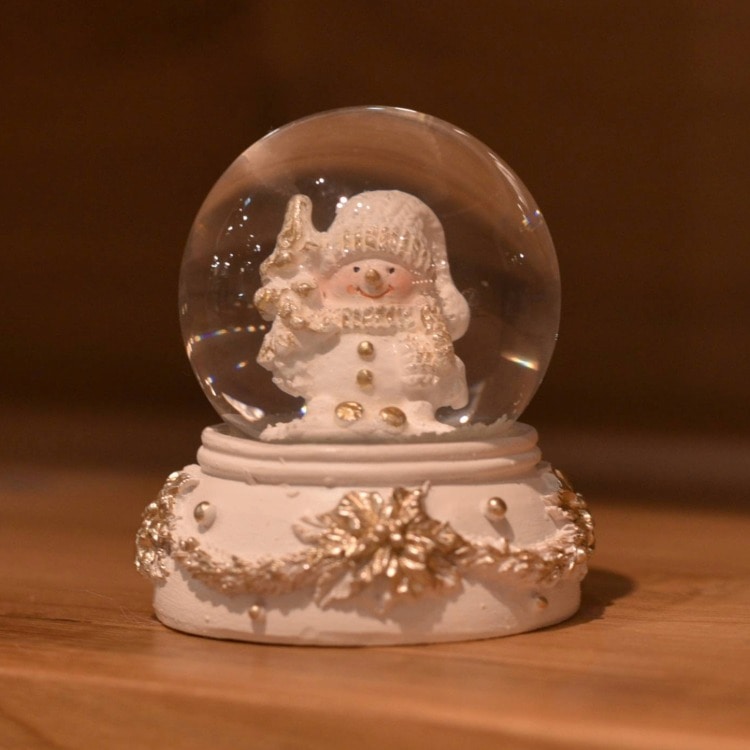 �Q�T�@�z���C�g�t�����[�X�m�[�}���S�T�l�l